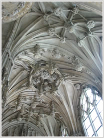 click for full-size image
